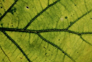 Stacks Image 115055